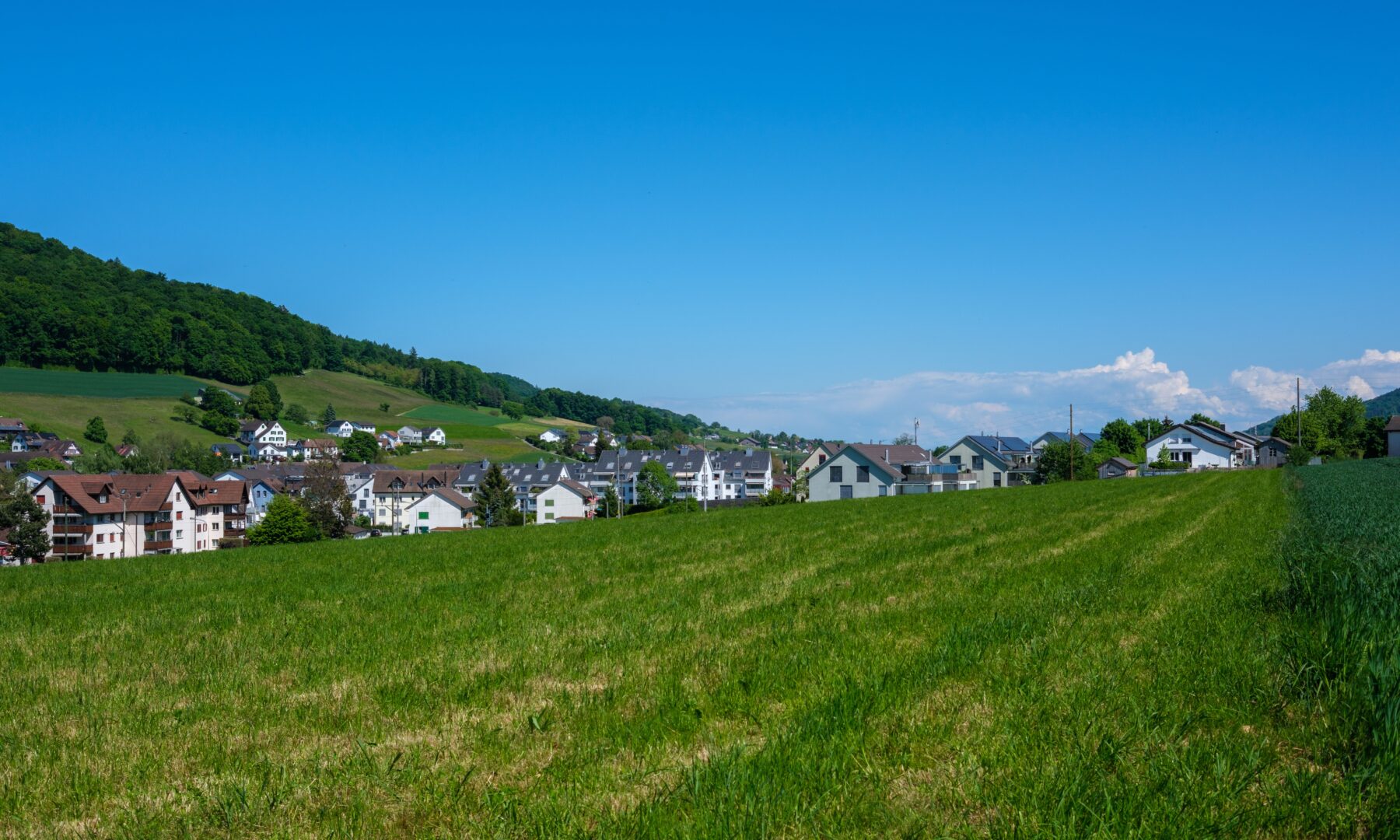 Freie Grünfläche vor einer Wohnsiedlung in der Schweiz