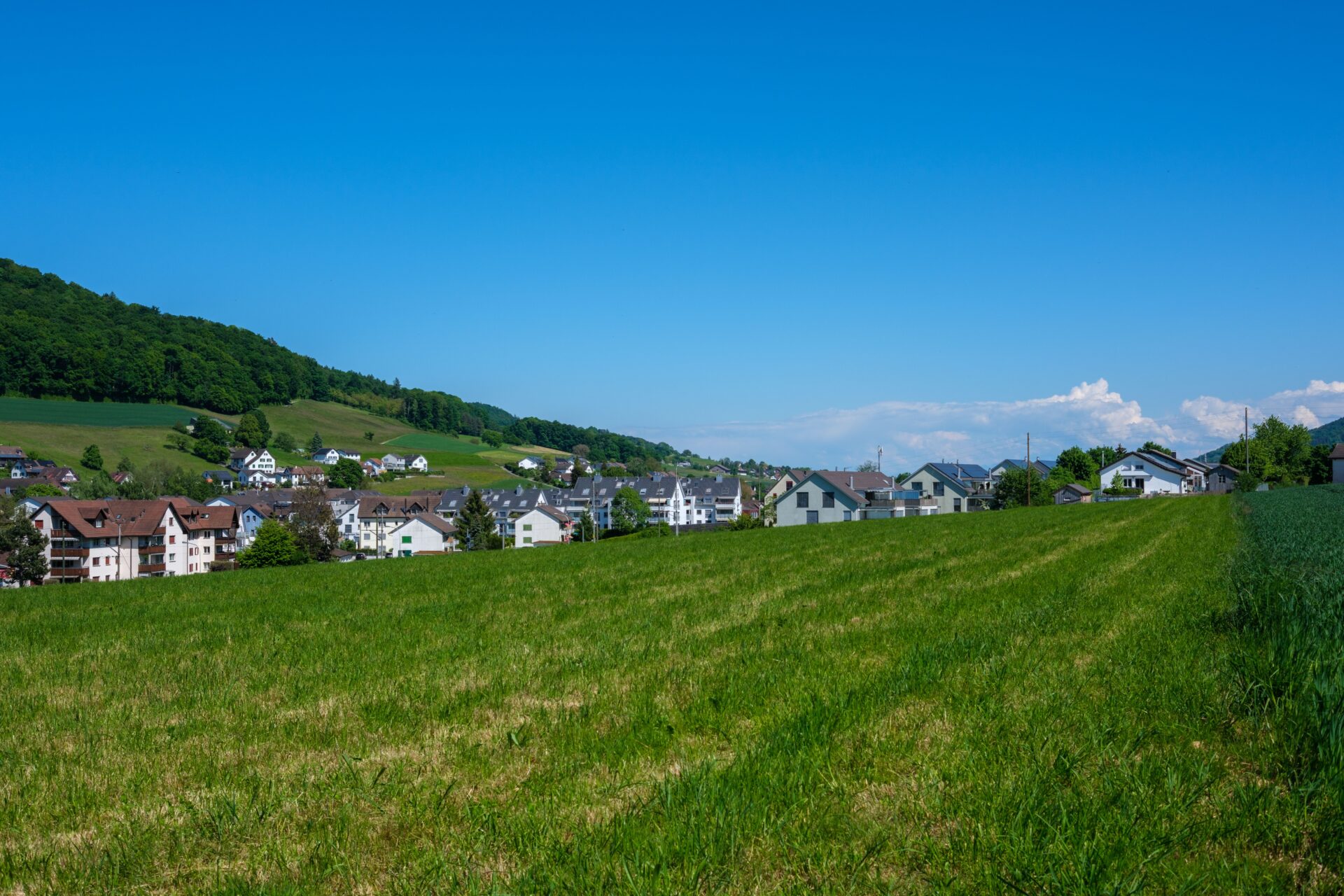 Freie Grünfläche vor einer Wohnsiedlung in der Schweiz