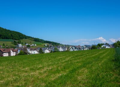 Freie Grünfläche vor einer Wohnsiedlung in der Schweiz