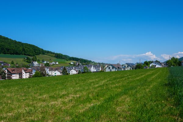 Freie Grünfläche vor einer Wohnsiedlung in der Schweiz