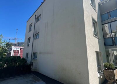 fassade sanieren warnzeichen, Algen und Verschmutzungen an einer Hausfassade