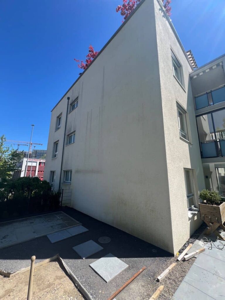 fassade sanieren warnzeichen, Algen und Verschmutzungen an einer Hausfassade