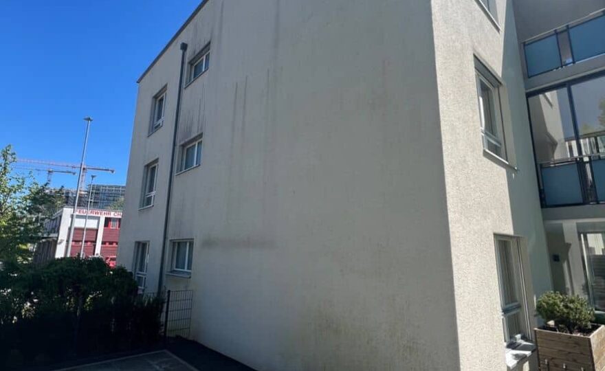 fassade sanieren warnzeichen, Algen und Verschmutzungen an einer Hausfassade