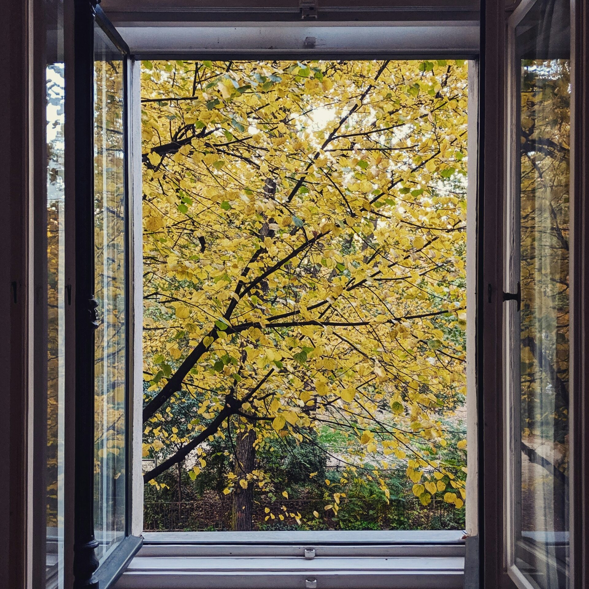 stosslüften wohnung, geöffnetes Fenster für richtiges Lüften im Herbst